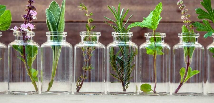 Flacon d'huile essentielle et plante naturelle