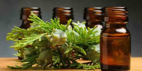 Aceite-esencial-de-cipres-propiedades_HE_3