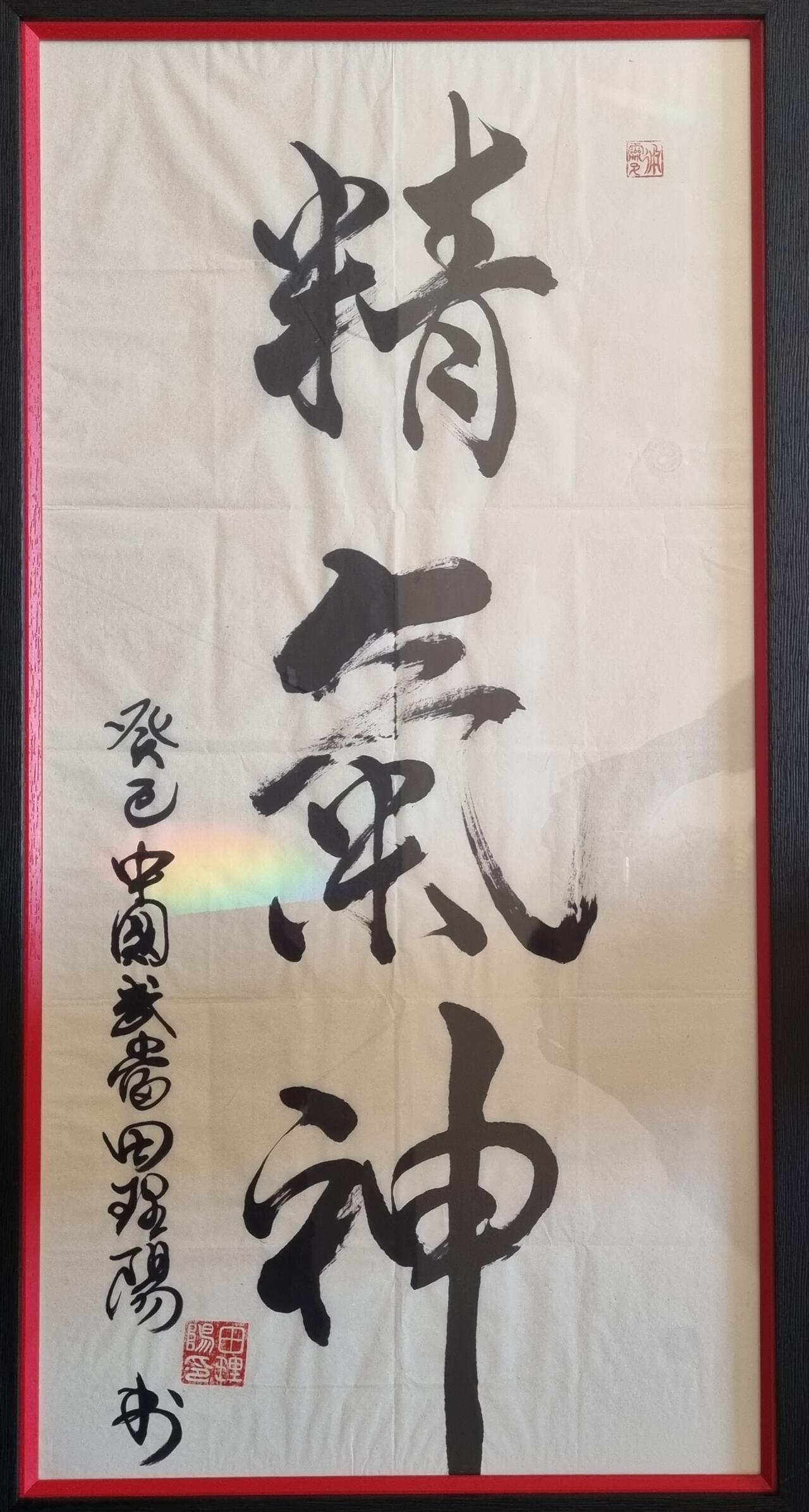 Calligraphie_EC_Shen_Qi_Jing_Wudang_2