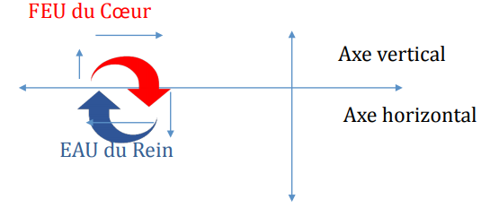 le Feu du Coeur est aligné à l'eau des Reins